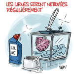 Les dessins du dimanche