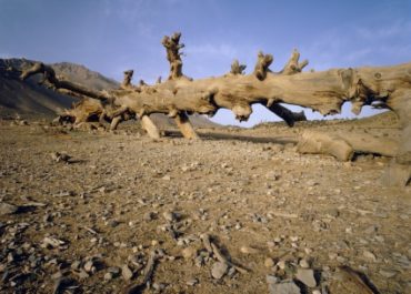 Agir contre le changement climatique : aidez nous !